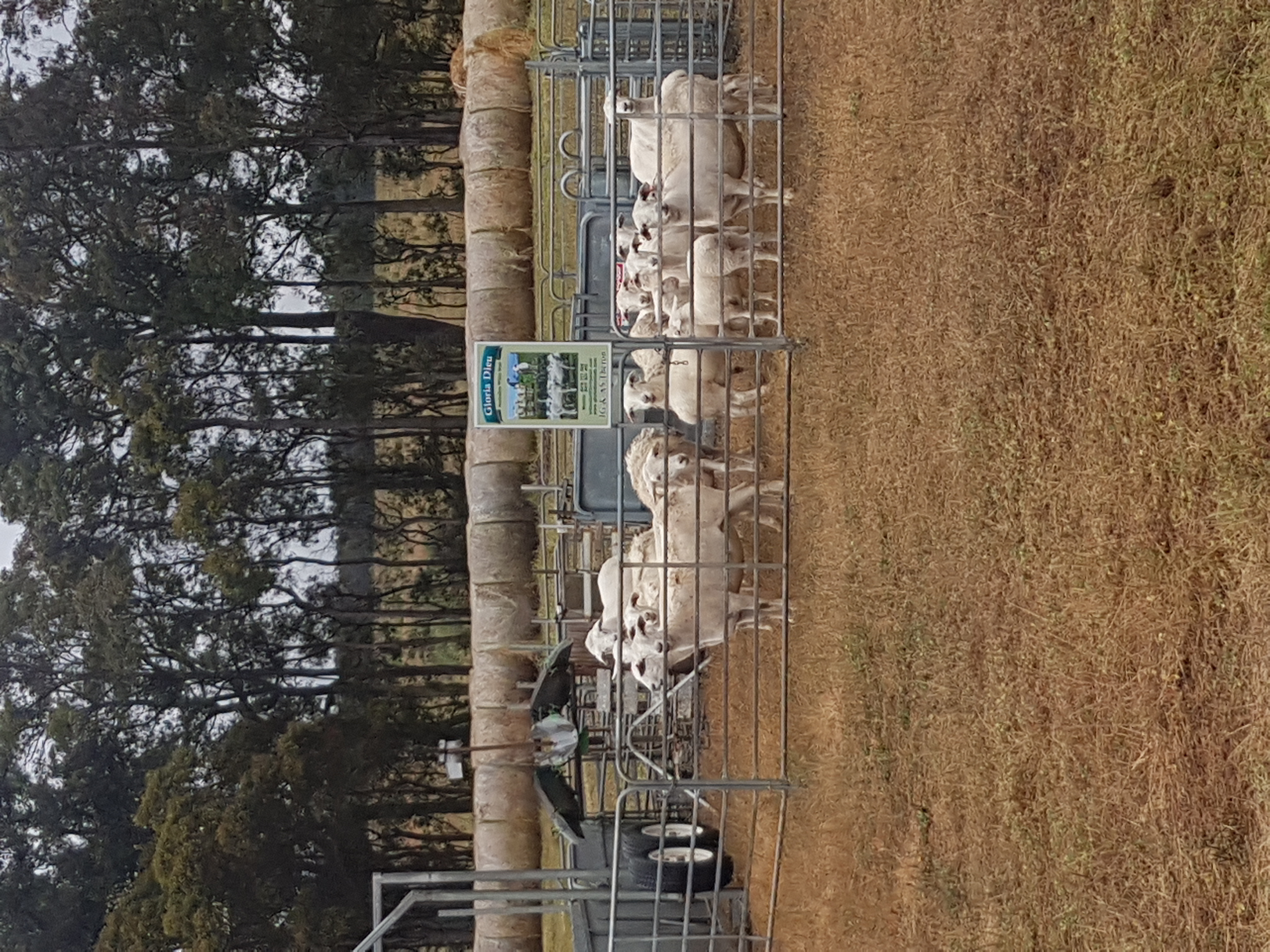 Mount Barker Community College Visit 2