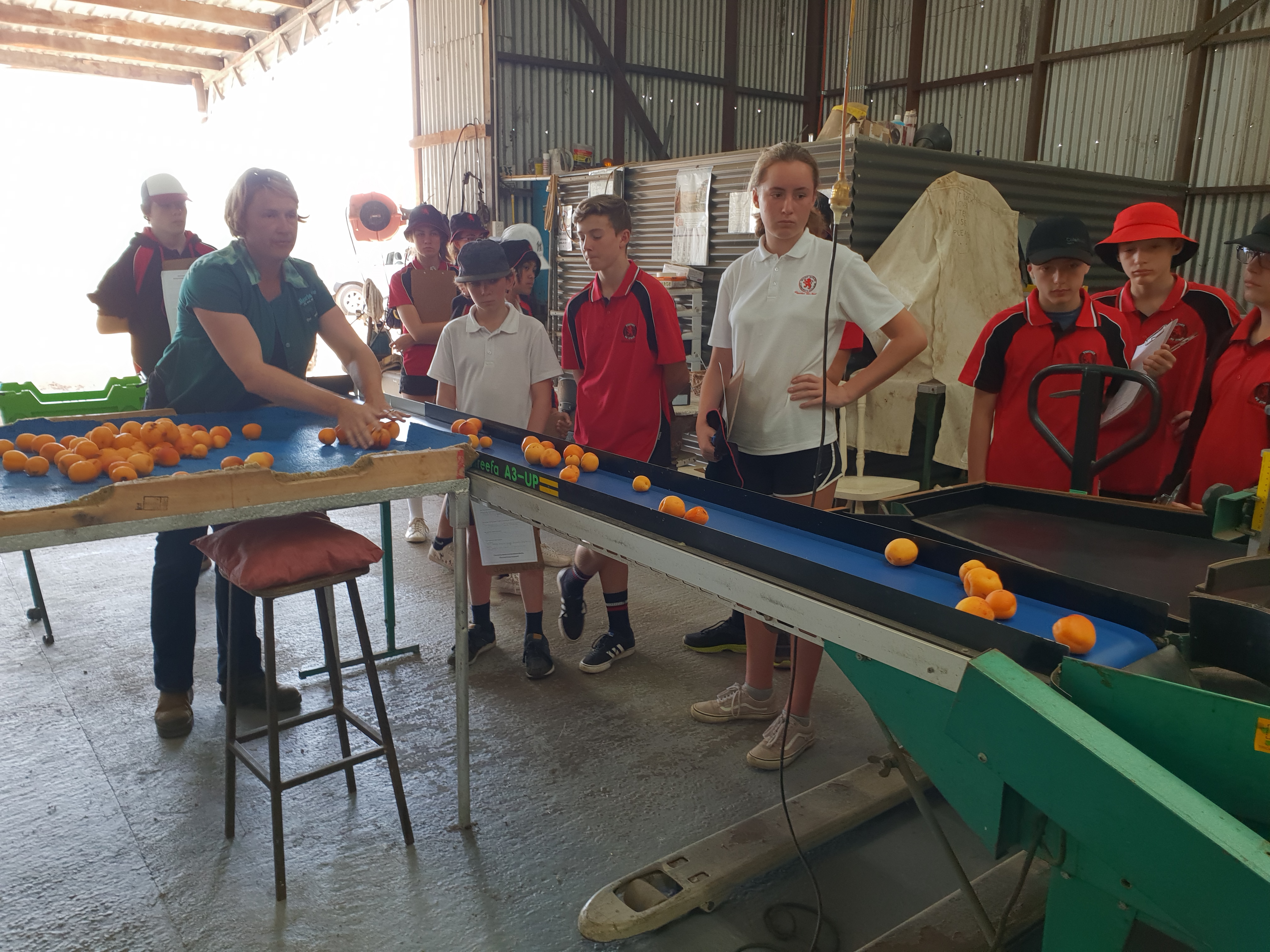 Our 2Nd Visit From Year 9 Agricultural Students 7