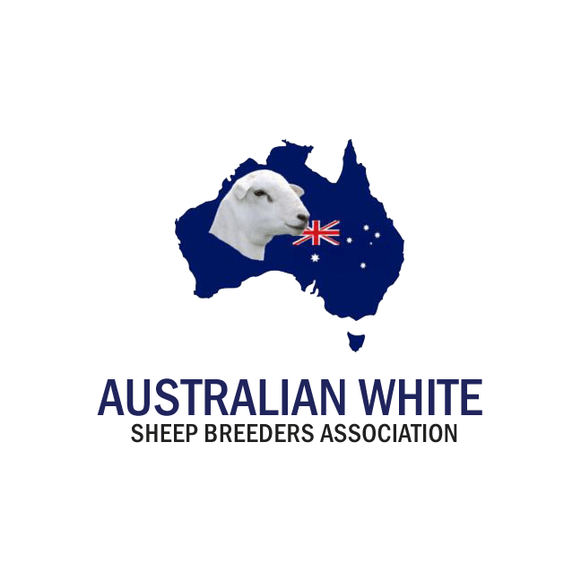 Australian White Information 2 Australian White Information 2