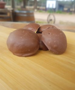 Carob Coated Freeze-Dried Apricots 4